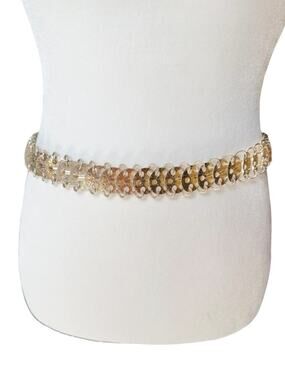 Vintage 1970s Gold Tone Chain Link Belt Floral Grape Etched 40” Boho Disco
